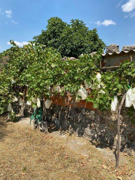 Foto a33d8012-83e2-4921-9403-1e04b444a4a1. Finca rústica a Escopete