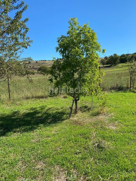 Foto bc139547-70fd-46e3-9874-2de8bb4bb992. Finca rústica a Escopete