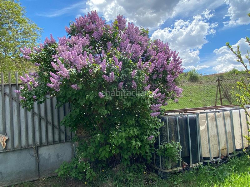 Foto d00f3e58-7a82-4243-bfde-d008127fd6a8. Finca rústica a Escopete
