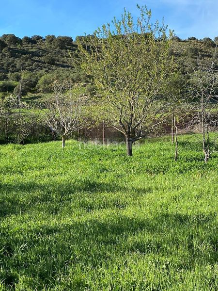 Foto f03aef24-6529-4857-b946-0f5a44087c57. Finca rústica a Escopete