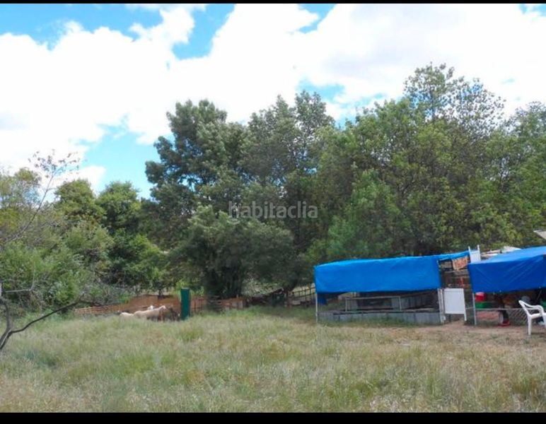 Foto 15669b76-6990-4a03-9ef4-13b66d0aabde. Finca rústica a Burgohondo