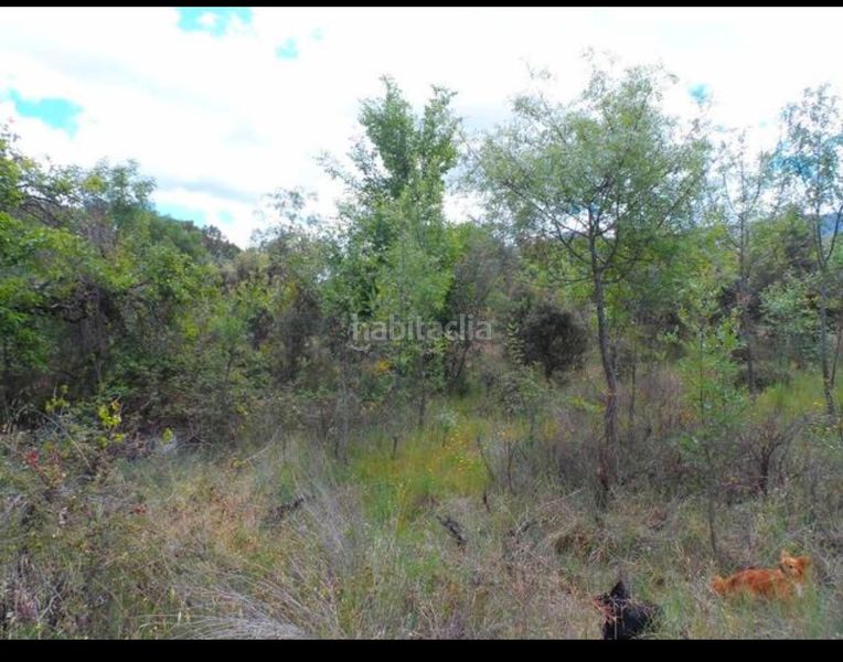 Foto 50426cfe-4358-4e80-a052-b1b101d7d8a3. Finca rústica a Burgohondo