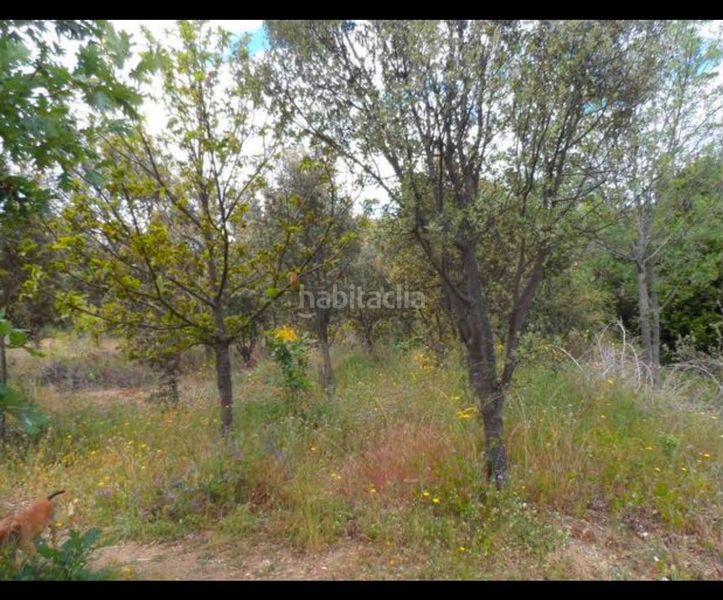 Foto 65fb4007-b96d-43d9-a3bf-1516668a31d8. Finca rústica a Burgohondo