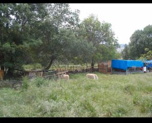Fondo rustico in Burgohondo. Terreno rural en burgohondo burgohondo, avila