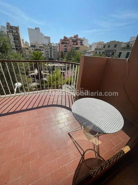 Foto 26caa17b-8ca1-4496-87e2-cd3cec897b9a. Affitto appartamento in Arxiduc Palma de Mallorca