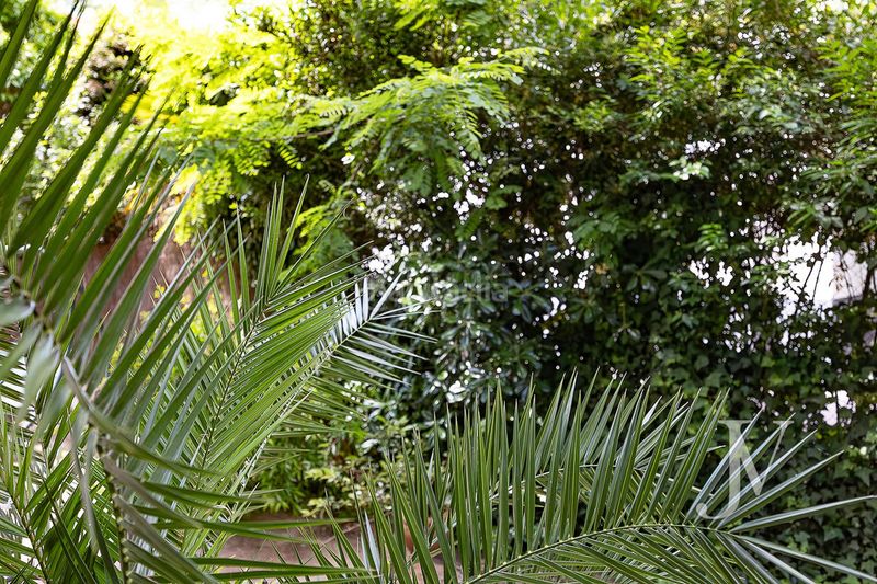 Chalet en glorieta de fuentidueñas 6 chalet independiente en la colonia del retiro, barrio Niño Jesús, a 10 minutos caminando del parque del retiro en Madrid - Imagen 12