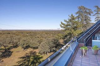 Chalet à La Florida - El Plantío. 1º línea de el pardo, lindando con la reserva natural en la flor