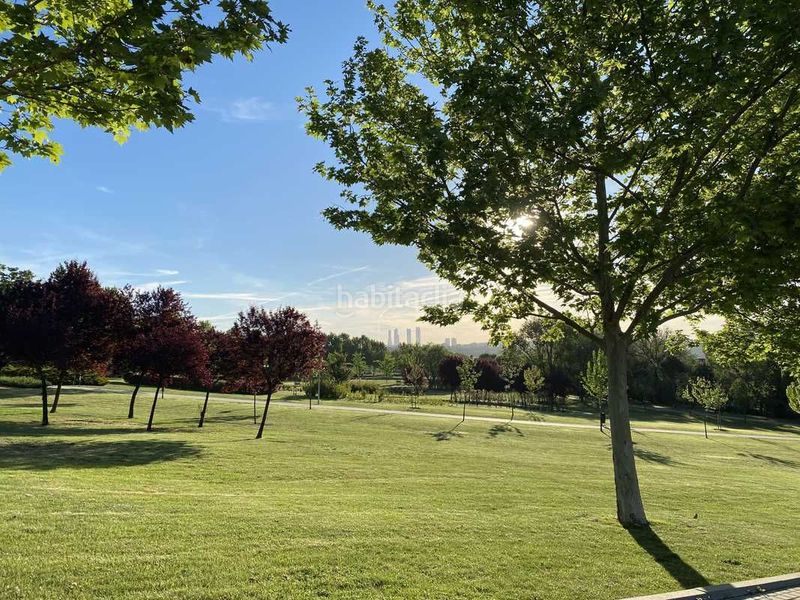 Chalet en Valdezarza Madrid - Imagen 21