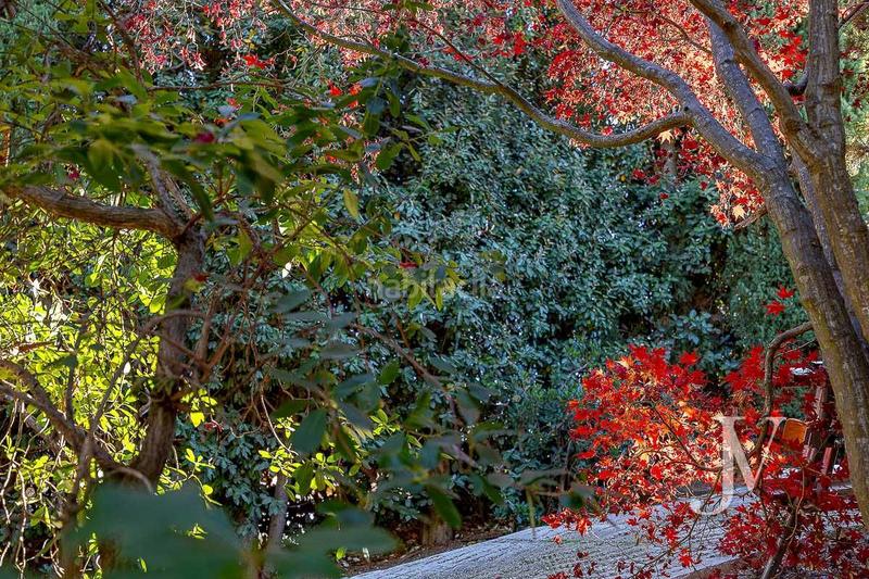 Foto 104ee624-456e-46d9-a168-efcf5b548fc2. Chalet avec chauffage parking piscine dans Ciudalcampo