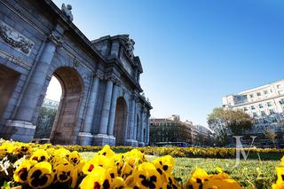 Appartamento in Recoletos