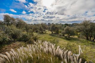 Wohngrundstck  Lugar urbanizacion las encinas. Parcela de 10.000m2 en venta en las encinas, escorzoneras, segur