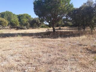Residential Plot in Guadarrama. Excelente parcela de 2.000m2 en guadarrama. para varios usos  vi