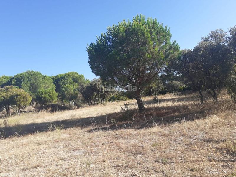 Foto 25138fb7-1193-4c4c-b47c-6ccc005afe04. Terreny residencial a Alpedrete