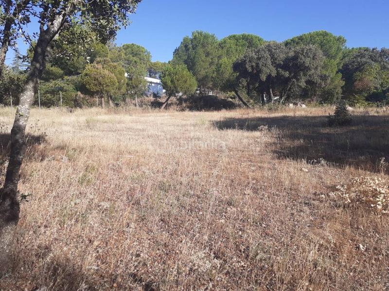 Foto 361f063d-8e84-458b-9084-a4a460ecb67e. Terreny residencial a Alpedrete