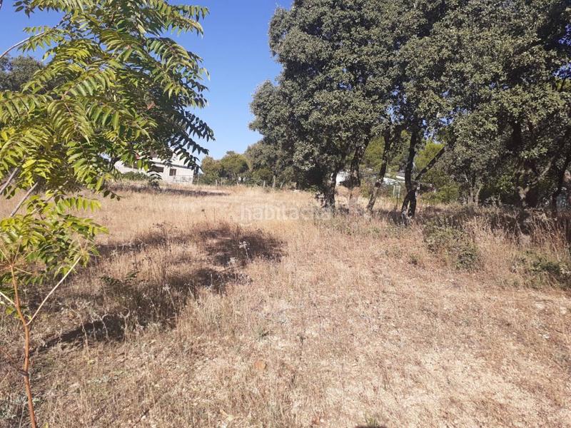 Foto 8672072e-a497-4bdd-a222-adb3a4a60a70. Terreny residencial a Alpedrete