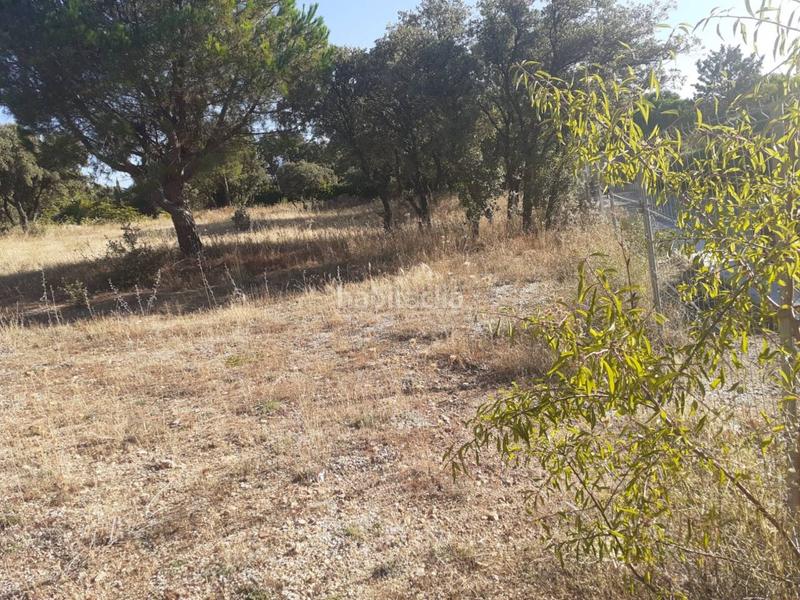 Foto b9608334-86c5-4913-b5ce-985608fcbcd7. Terreny residencial a Alpedrete