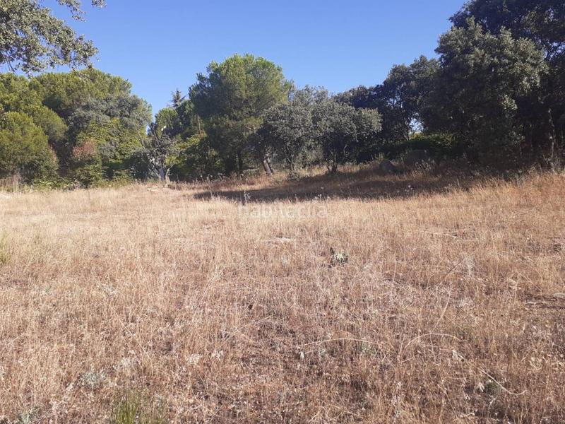 Foto bf4060ac-54da-471a-8fdb-77c7ffaac3a6. Terreny residencial a Alpedrete