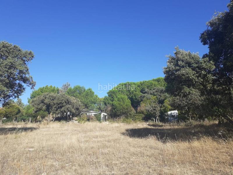 Foto d21d3c22-f4f4-4e55-9c28-c774214faa79. Terreny residencial a Alpedrete