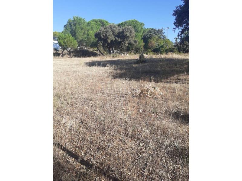 Foto d5a859f8-7ae7-4e66-b88f-ea3b4b0df476. Terreny residencial a Alpedrete