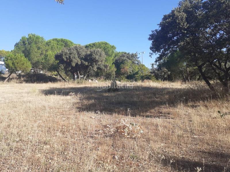 Foto f88567b7-c443-41e7-aa4d-dcd99dcc28bf. Terreny residencial a Alpedrete