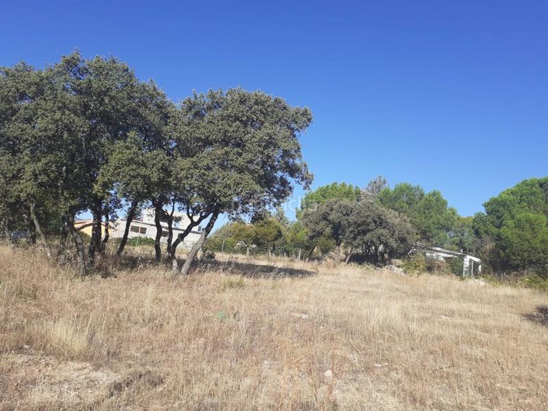 Foto fbdca1ca-c6c7-4646-b437-94d7728efd61. Terreny residencial a Alpedrete