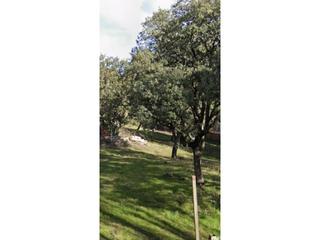 Rural plot in Alpedrete. Se vende parcela e en la colonia san josé, alpedrete