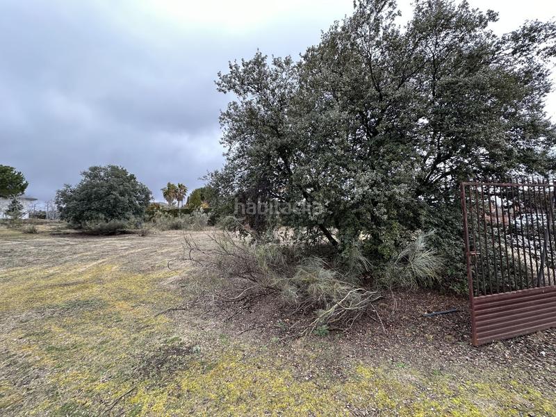 Foto eb6f2f13-3d9d-4b45-ab9a-704b64aa5ec8. Terreno residencial en Valdepastores-Las Encinas Boadilla del Monte