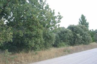 Terreny residencial a Fresno de Cantespino