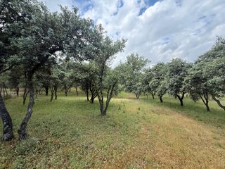 Terreny residencial a El Bosque