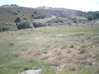 Finca rústica en 8  151. Finca rústica en venta en el molar