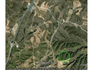 Finca rústica en Molar (El). Finca rústica de nueva construcción en venta