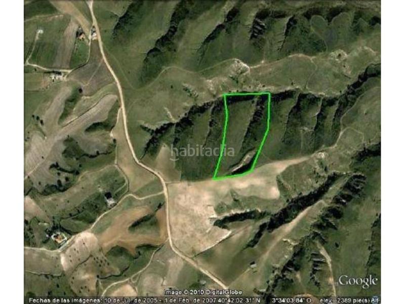 Foto a2242743-8cb0-42c1-8e04-fa45f39dac2d. Fondo rustico in Molar (El)