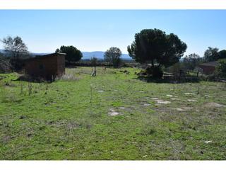 Residential Plot in Lozoyuela - Navas - Sieteiglesias. Solar en venta en cinco villas