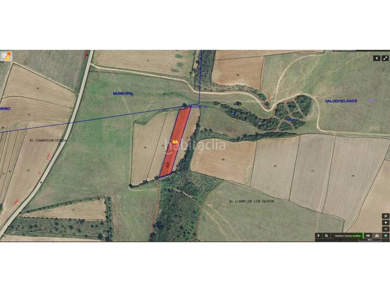 Foto adbabbd0-e4e4-4ef6-9726-e538d1ff0aeb. Propriété dans Valdepiélagos