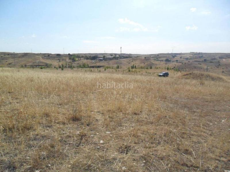 Foto 0b2be7d0-0594-45a7-a8c0-6f0aa46a1bb9. Lloguer finca rústica a Molar (El)