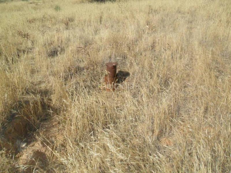 Foto 3dab5dd8-9c22-49e5-8ca9-c0f239758b74. Lloguer finca rústica a Molar (El)