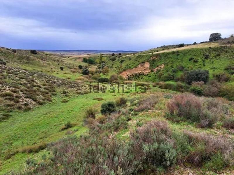 Foto 4b961a88-9a4d-480b-89be-2b173c9a1788. Fondo rustico in pol 8 parcela 183 183 in Molar (El)