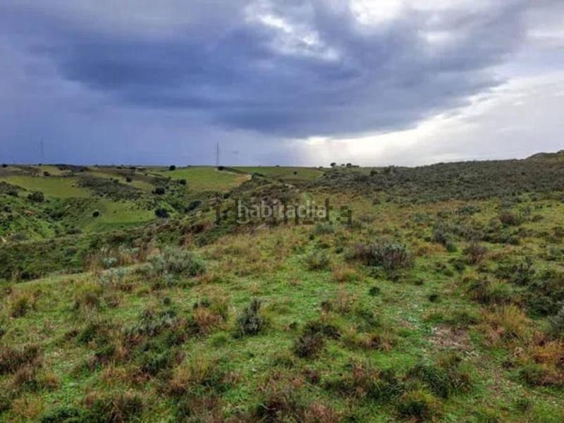 Foto ae81a29f-0d04-40a6-a6eb-409f8d45a9ad. Fondo rustico in pol 8 parcela 183 183 in Molar (El)