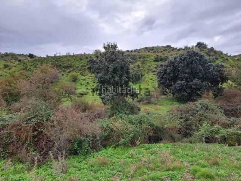 Foto b65c025f-7c67-4b2b-a8f7-fff09d61ee78. Fondo rustico in pol 8 parcela 183 183 in Molar (El)