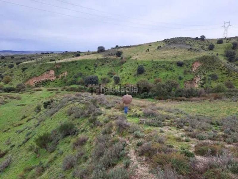 Foto e3a9b51e-b2e2-4fa5-a6c0-f024d89e50ec. Fondo rustico in pol 8 parcela 183 183 in Molar (El)