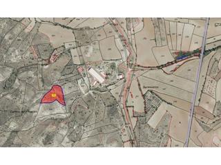 Rural plot  Parcela 314. Venta de finca rústica en torrelaguna