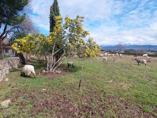 Xalet en Puentes Viejas. Venta de chalet independiente en cinco villas