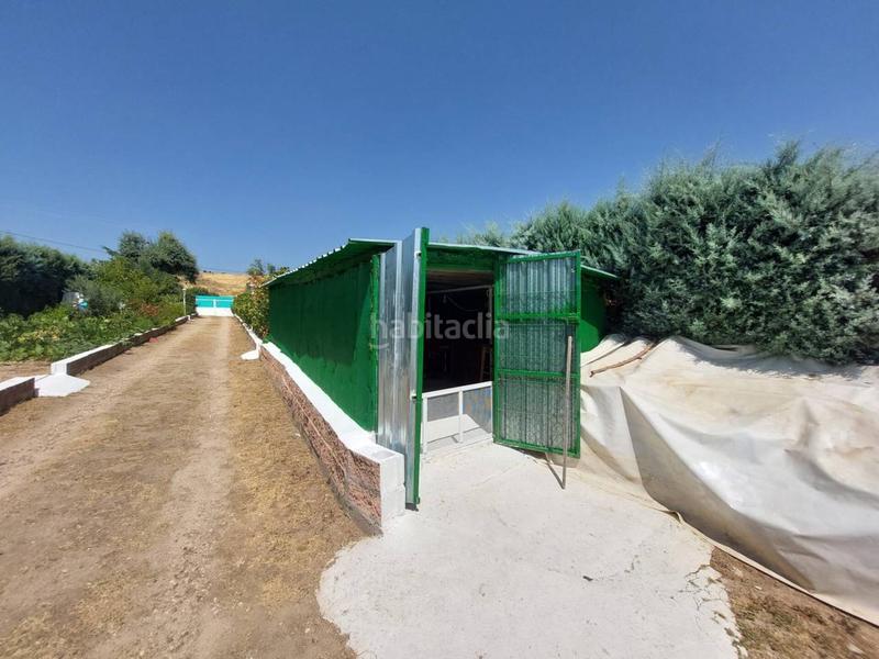 Foto c499cf1d-1808-4930-ac09-41a1ed3c3884. Casale con riscaldamento parcheggio in Molar (El)