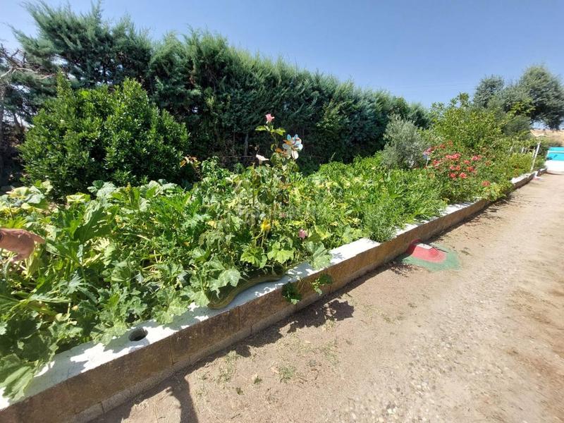 Foto d0ebbf3f-a9b7-4a28-935b-1f7e23420c8b. Casale con riscaldamento parcheggio in Molar (El)