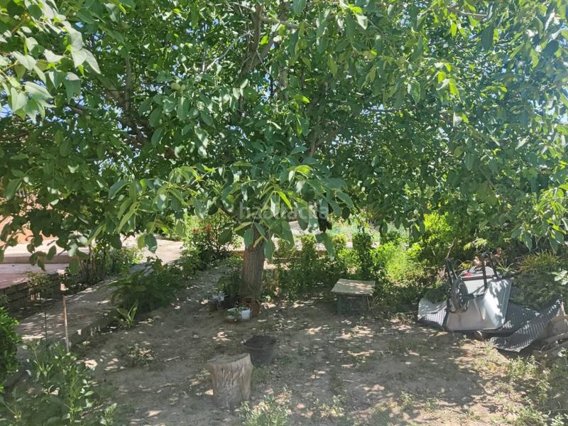 Foto d196bca5-bda6-4c4c-9916-9b0a82d22d42. Propriété dans Molar (El)