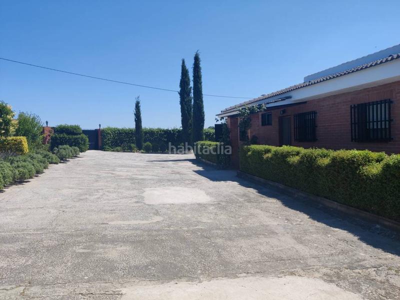 Foto fe81357e-eb2e-4134-9958-03b2b3e5002a. Propriété dans Molar (El)