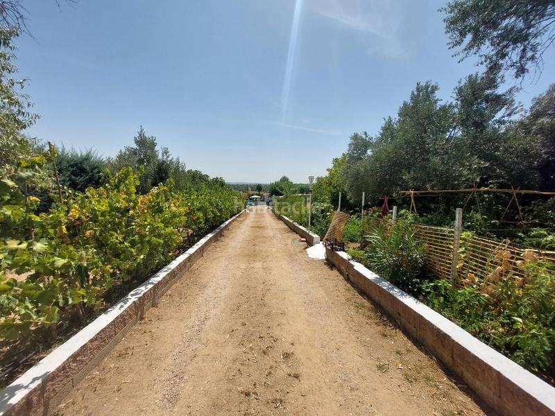 Foto 18761be3-79dc-42e8-9b88-ed5e711080cf. Maison avec parking dans Molar (El)