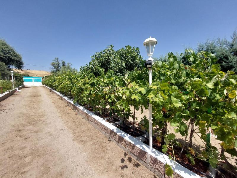 Foto f3aee545-ac28-4c5e-813e-da12f05f016a. Maison avec parking dans Molar (El)