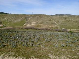 Finca rústica a Polígono poligono 4 parcela 94 1. Finca rústica en venta en el molar