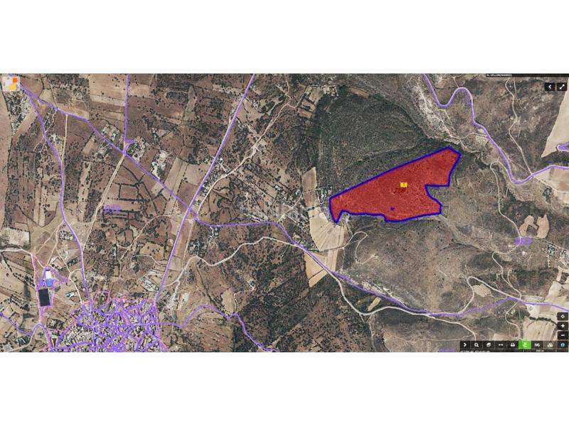 Foto 58b20d3e-2985-411b-9e7f-5626434aa30b. Finca rústica a polígono poligono 3 parcela 286 286 a Vellón (El)